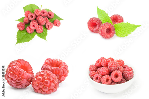 Collection of raspberry fruit photo