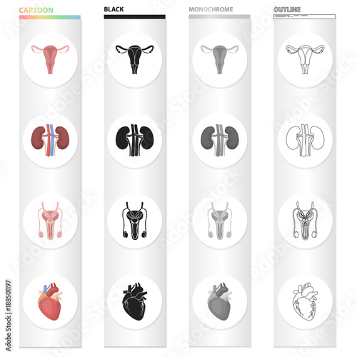 Science, treatment, hospital and other web icon in cartoon style., Components, internal, medicine icons in set collection.