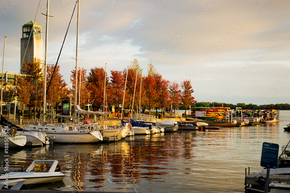 Toronto's harbour front in fall