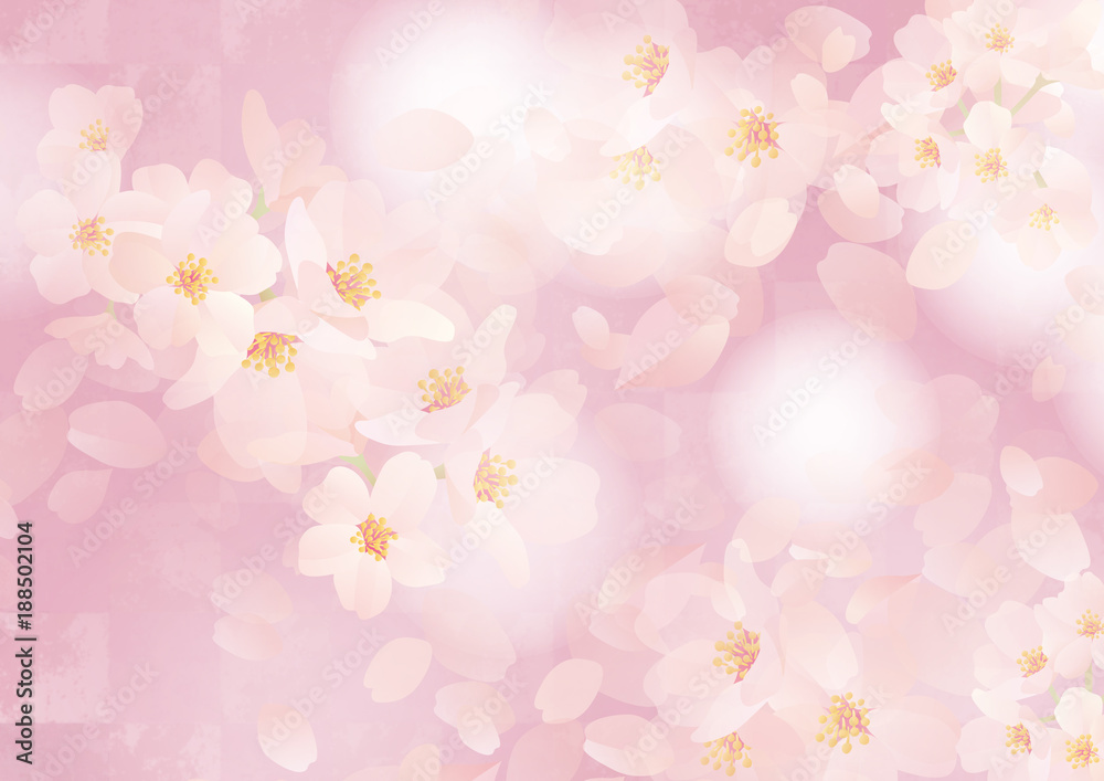 和柄日本 チェック 桜