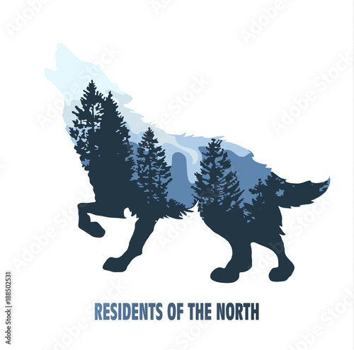 Wolf double exposure mountain landscape with fir trees