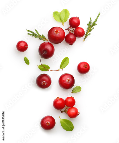 Fresh forest berry cranberry photo