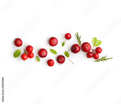 Fresh forest berry cranberry