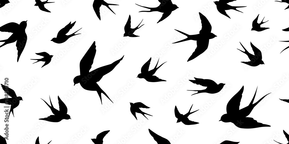 bird seagull Swallow pigeon vector Seamless Pattern isolated wallpaper background