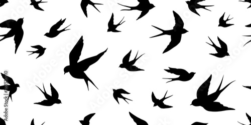 bird seagull Swallow pigeon vector Seamless Pattern isolated wallpaper background © CNuisin
