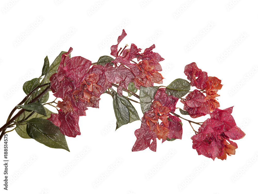 Fototapeta premium beautiful red flowers in plastic effect
