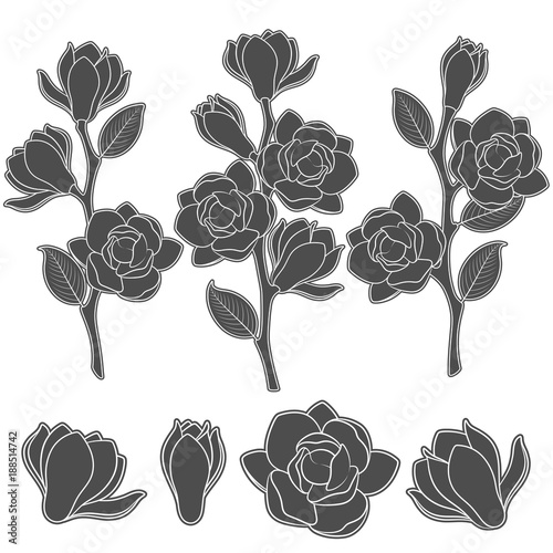 Set of black and white illustrations with flowering magnolia branches. Isolated vector objects on white background.
