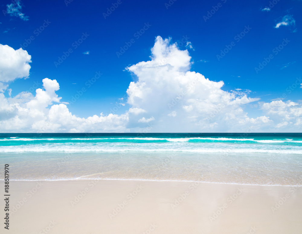 Fototapeta premium beach in Maldives