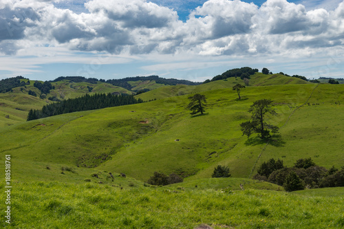 New Zealand landscape © Tenreth