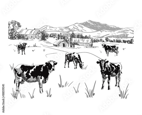 Milk farm VECTOR sketch, outline, rural landscape drawing.