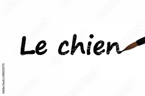 Le chien, nouvel an chinois 2018