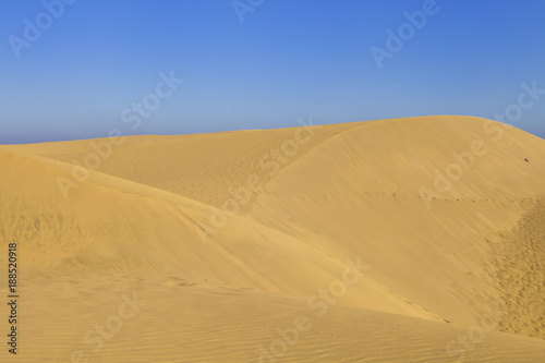 Fototapeta Naklejka Na Ścianę i Meble -  Sand dunes in desert
