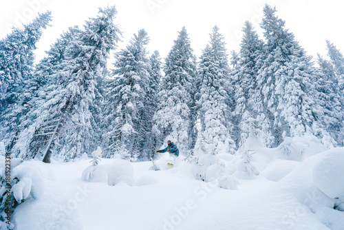 One snowboarder jumps in a forest © Alexandr