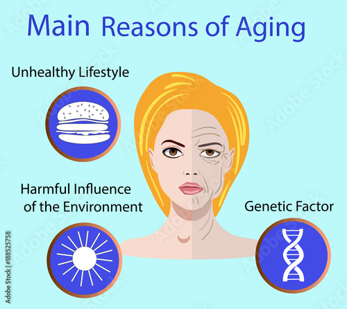 Vector illustration with reasons of aging photo