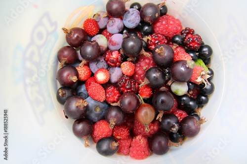 Mix of berries - raspberry, bilberry and red