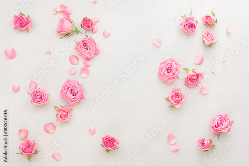 Roses background. Various pink roses buds and petals scattered on white background, overhead view, copy space