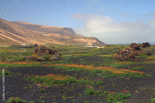 Lanzarote photo