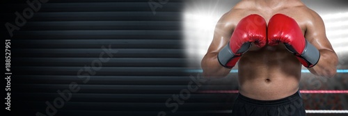 Boxer man with bright lights in ring © vectorfusionart