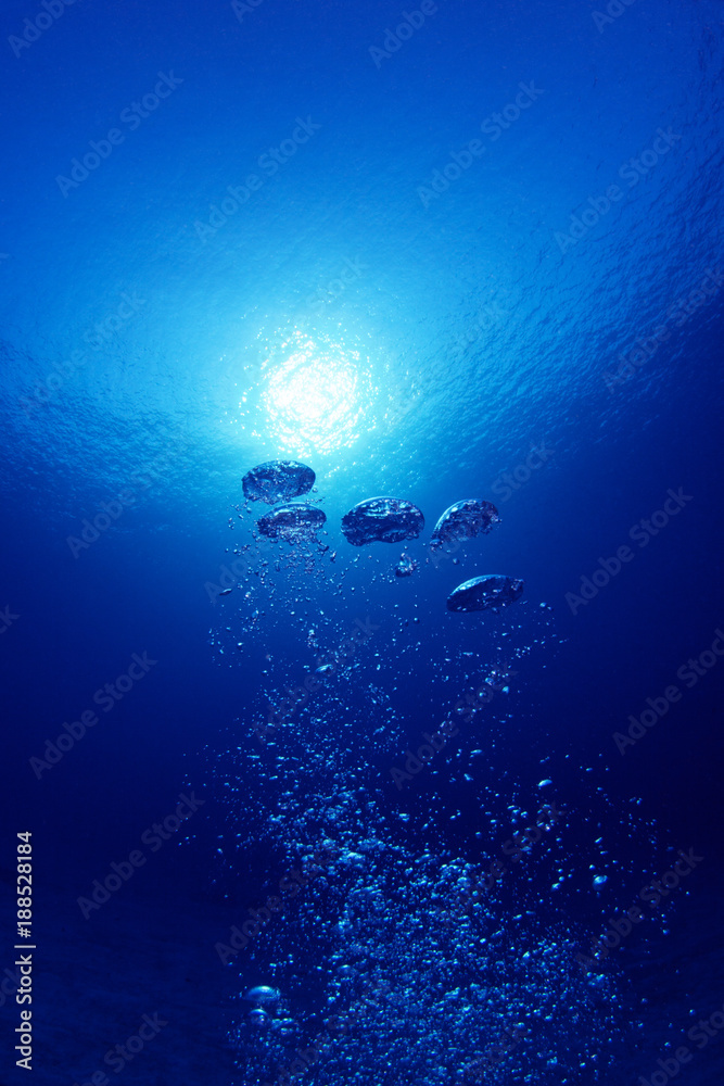 Fototapeta premium ダイバーの吐くエアー