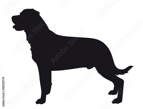 Rottweiler - Black Dog Vector Silhouette isolated on white