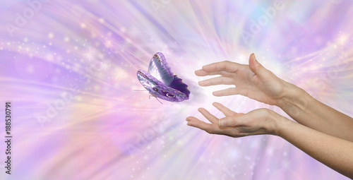 Photography The beautiful peaceful moment of a butterfly being released - soul release metap