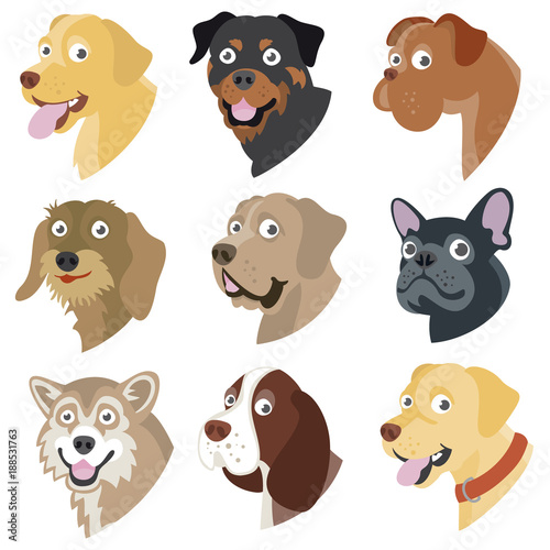 Funny cartoon dogs - Vector set of dog breed color icons