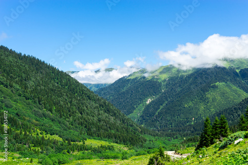 Beautiful Foggy Mountains view to Highland and Trees Pine Forest © klenger