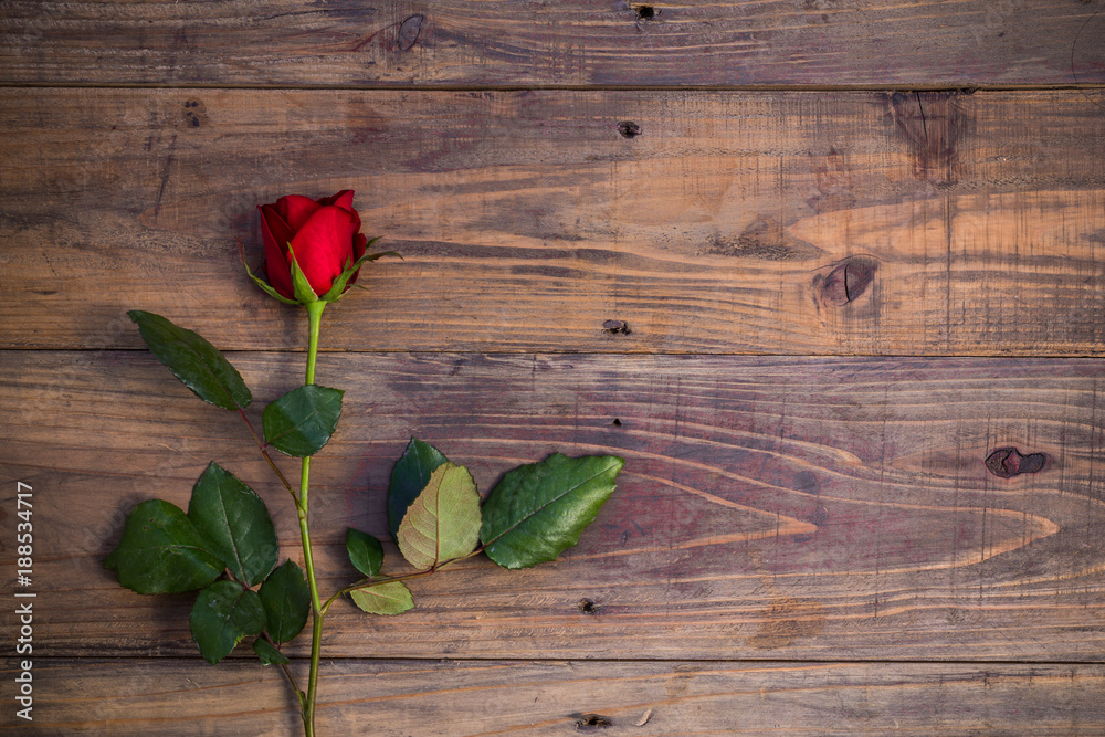 Red rose on wooden. Valentine's day composition of a red rose lying on a floor.