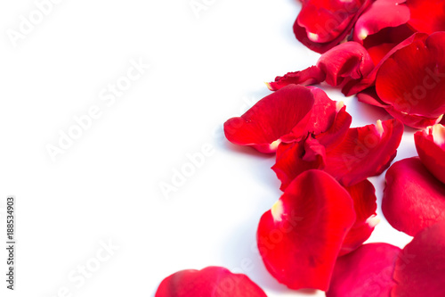 Valentines Day Made of Red rose petals Isolated on White Background.