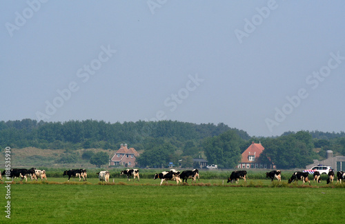 Obraz na płótnie Landscape of the isle of Schiermonnikoog w salonie