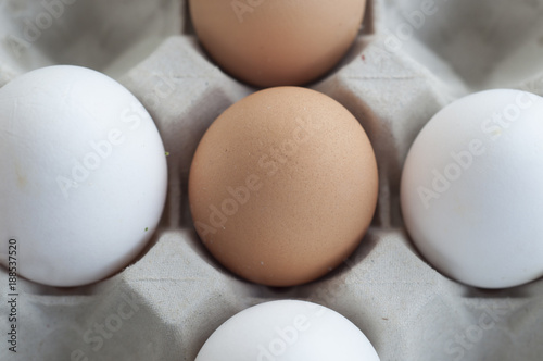 eggs