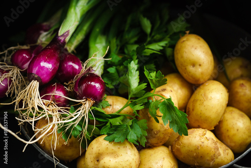 fresh vegetables in the basket