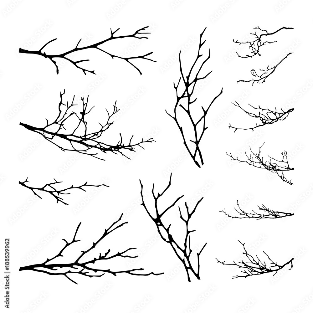 Fototapeta premium Realistyczny zestaw sylwetki gałęzi drzew (ilustracja wektorowa) ai10