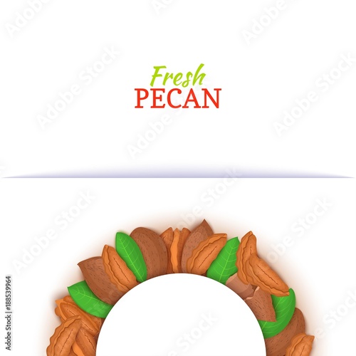 Semicircle frame composed of pecan nut. Vector card illustration. Nuts filbert frame, hazelnut fruit in the shell, shelled, leaves for packaging design food, butter, oil, detox cosmetics cream