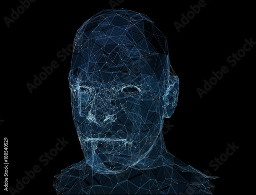 Fototapeta Naklejka Na Ścianę i Meble -  Head of the Person from a 3d illustration Grid. Human Head Model. Geometry Man Portrait