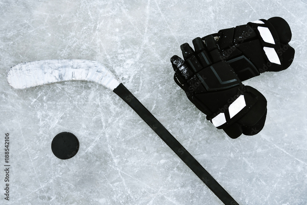 Naklejka premium things are a hockey player on the ice