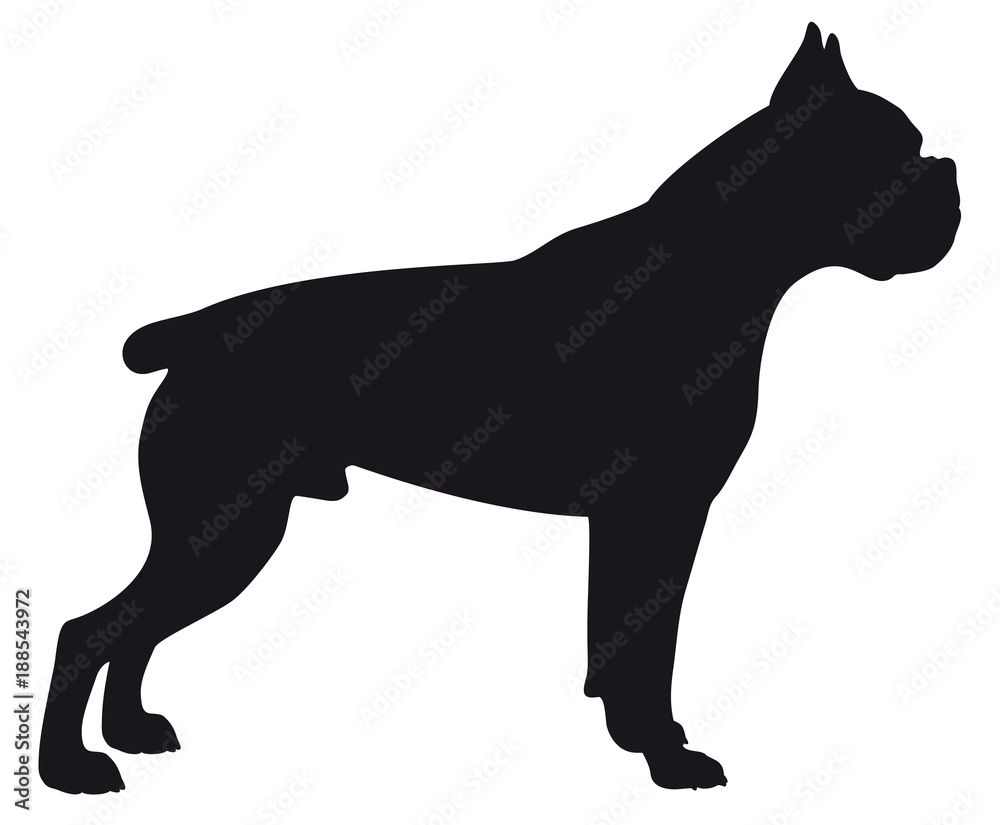 Boxer dog - Vector black silhouette isolated