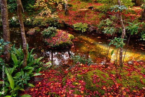 京都嵐山常寂光寺の紅葉
