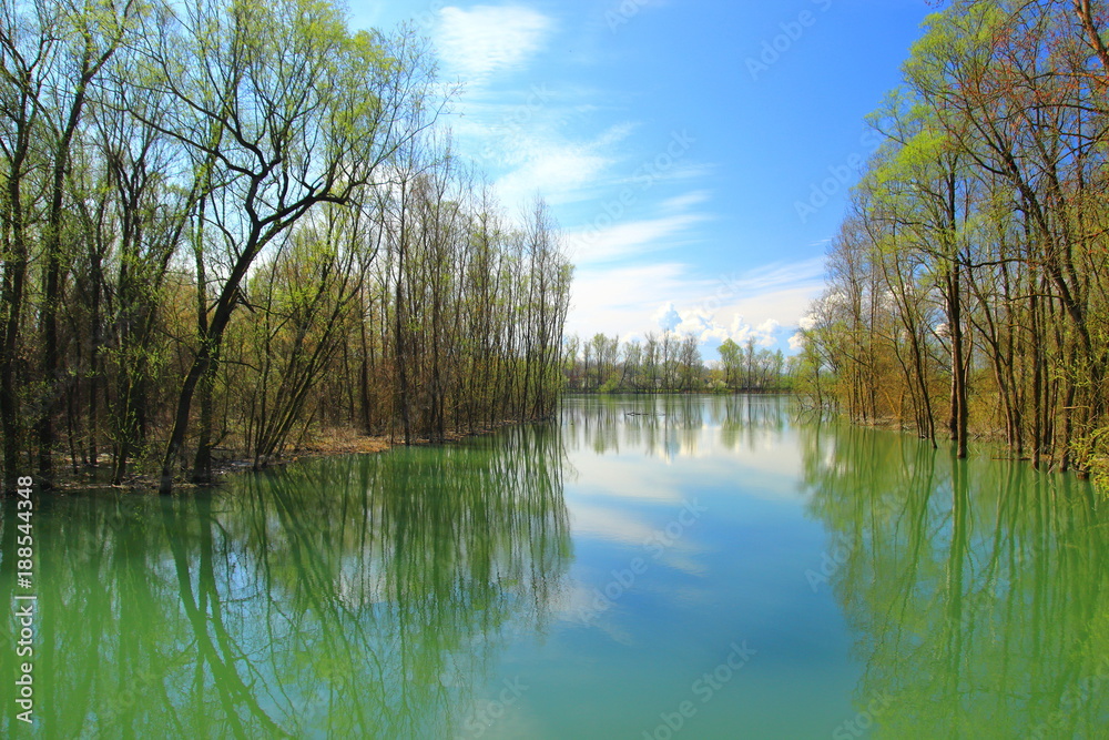 Spring flood in Nature park Lonjsko polje, Croatia Spring flood in Nature park Lonjsko polje, Croatia