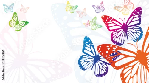 Obraz motyle tło wektor