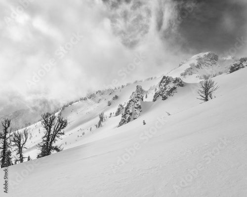 Snowfield leading to albright peak photo