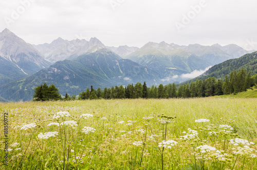 Scuol  Ftan  Motta Naluns  Wanderweg  Flurinaweg  Panoramaweg  Alpen  Inn  Inntal  Engadin  Unterengadin  Graub  nden  Sommer  Schweiz