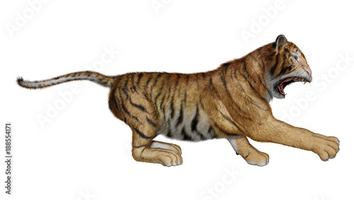 Fototapeta Naklejka Na Ścianę i Meble -  3D Rendering Big Cat Tiger on White