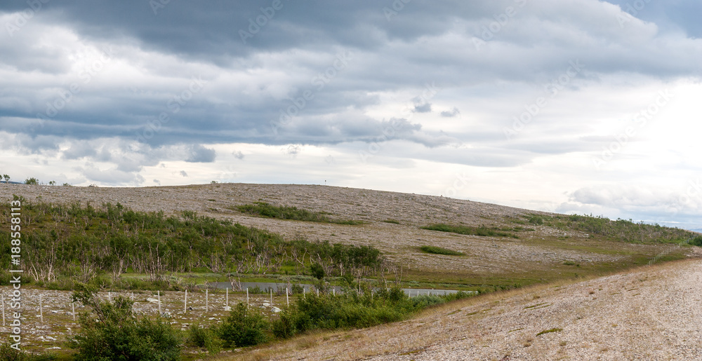 The characteristic landscape of the Arctic tundra in summer, Finnmark,