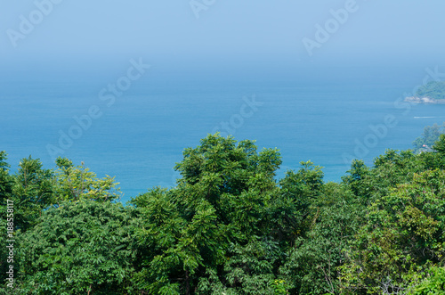 Fototapeta Naklejka Na Ścianę i Meble -  The forest behind sea view background