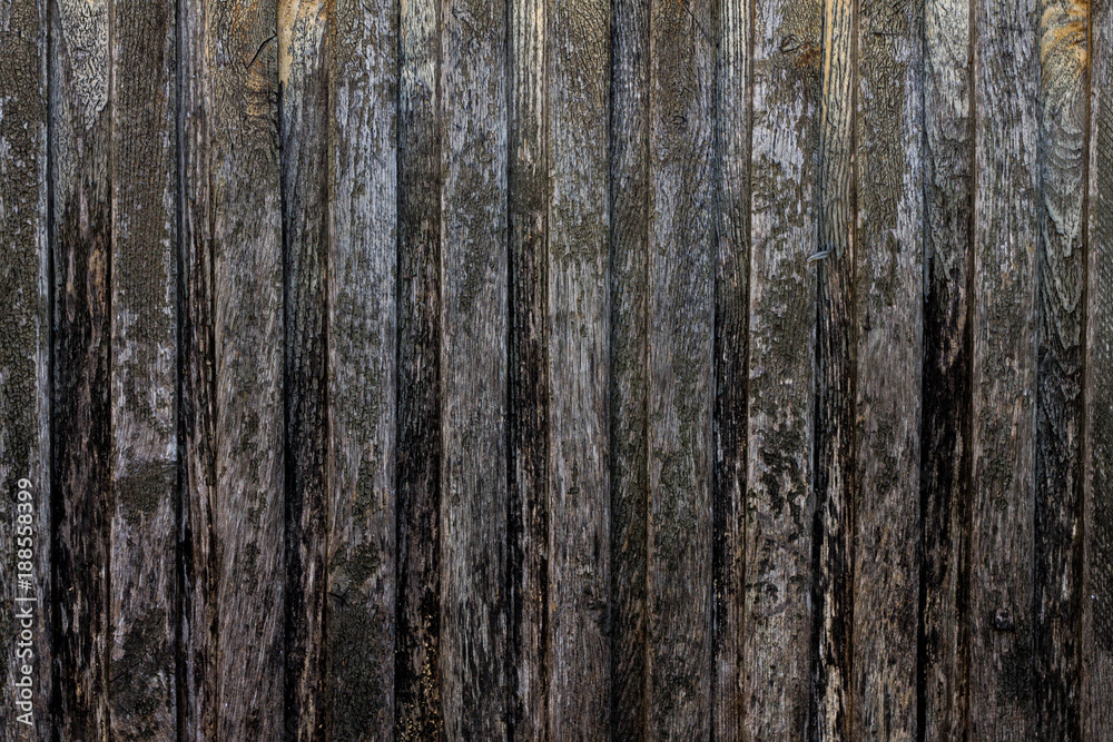 Tree background gray Tree background gray