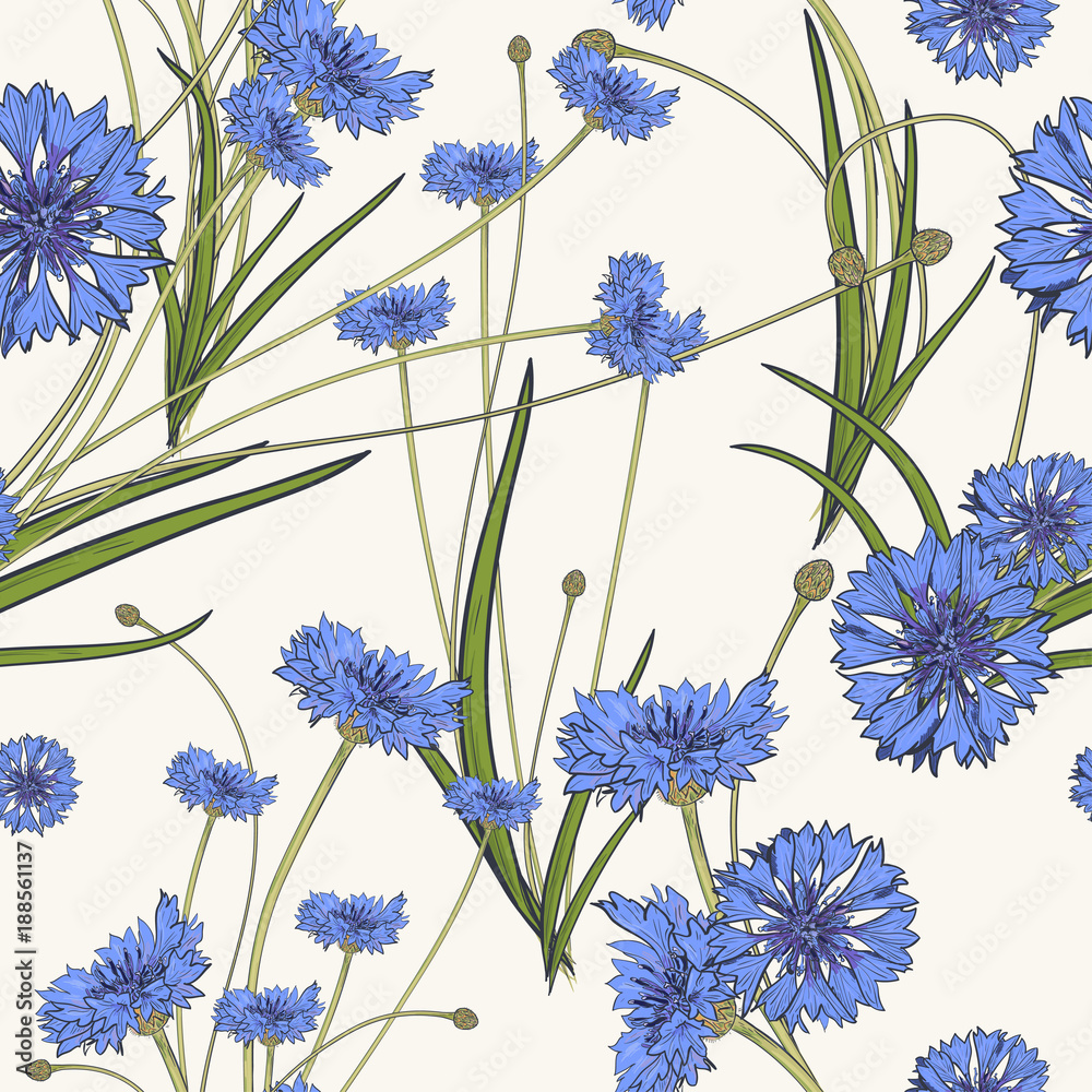 Seamless pattern with blue cornflowers Seamless pattern with blue cornflowers