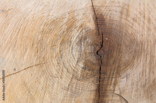 Holz mit Struktur und Jahresringe als hintergrund