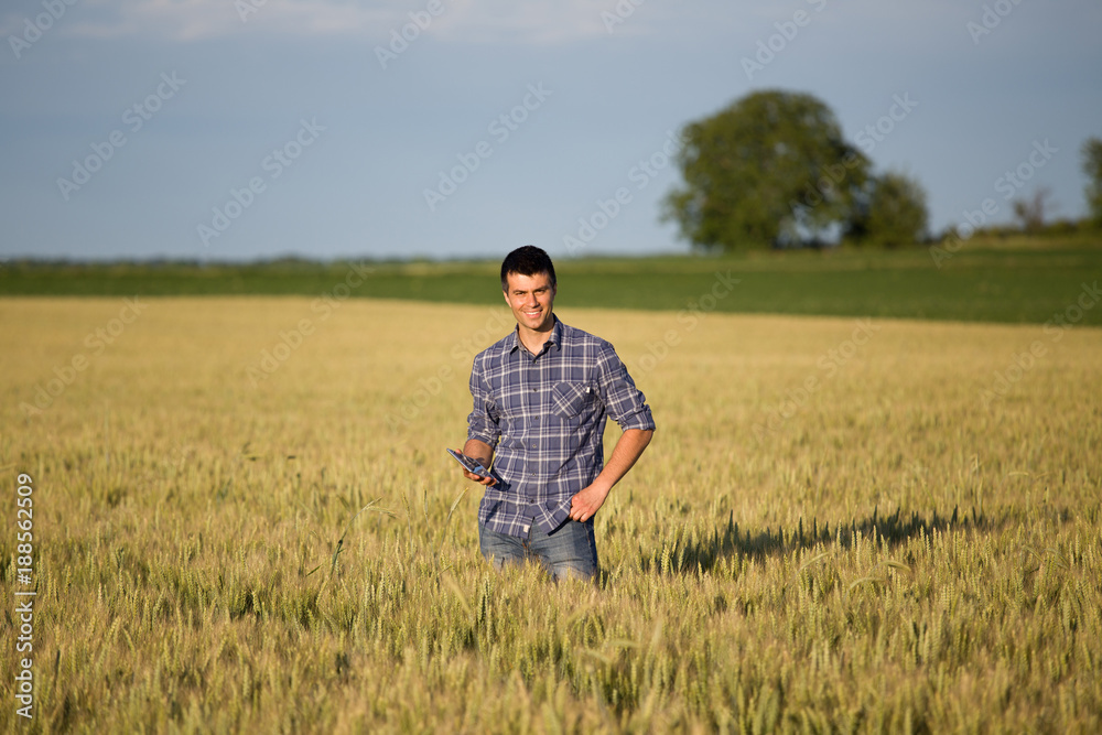 Farmer with tablet in wheat field Farmer with tablet in wheat field