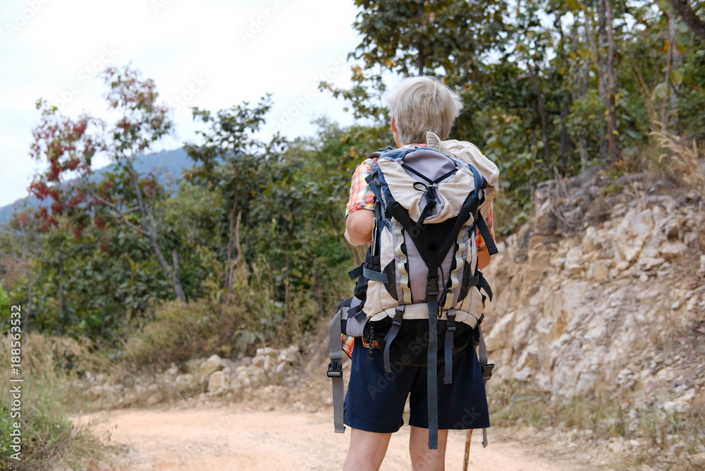 traveler hiker man with backpack hiking on mountain. tourist backpacker with stick trekking in forest. travel lifestyle, summer vacation concept